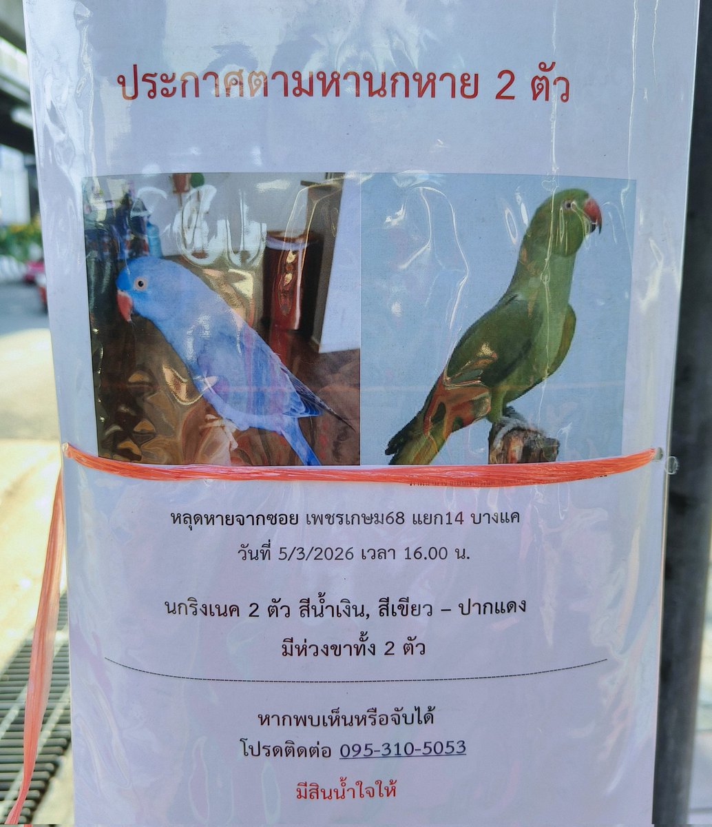 🔱 พี่หมอภัทร 🔱 (อ่านปักหมุดก่อน DM) tweet media