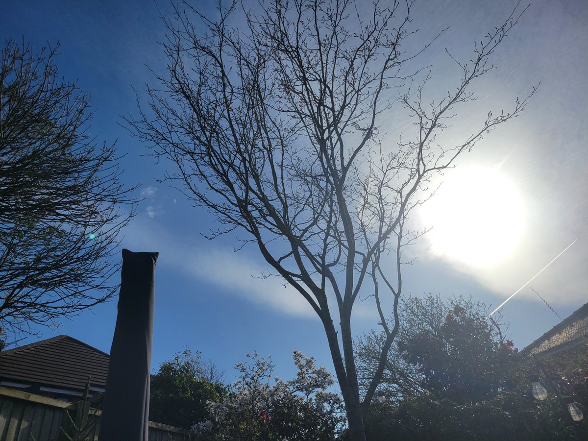 MetChasers🏴 tweet media