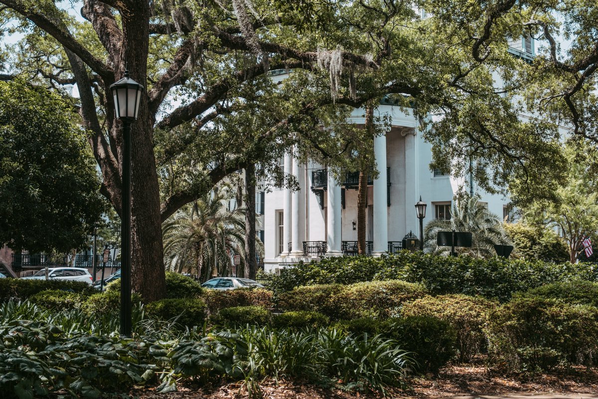 The Aesthetic City tweet media