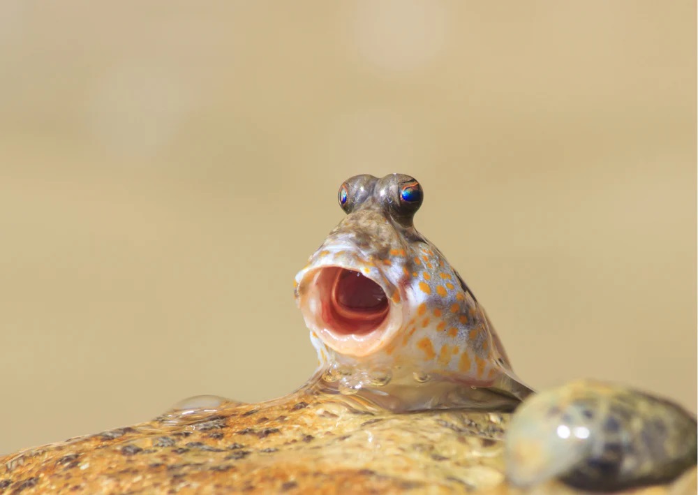 Mark - TLC Organisation tweet media