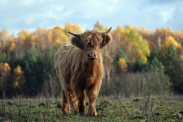 Bryan Germain tweet media