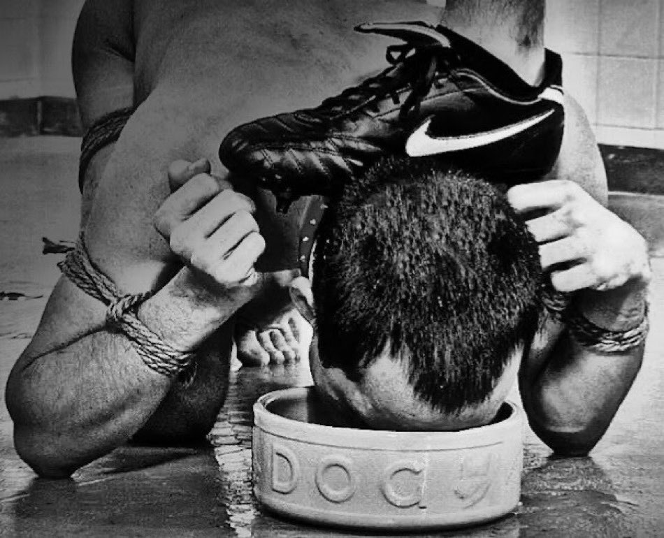 Master Red tweet media