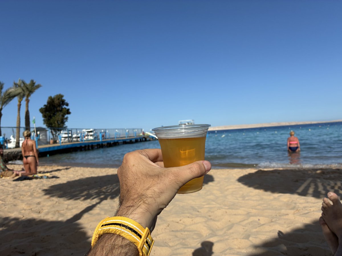 Elalamo.sol tweet media