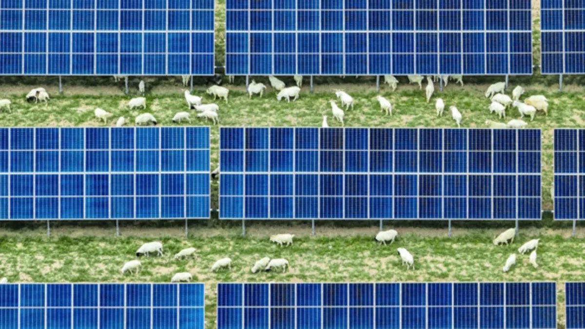 Sara • ™שרא tweet media