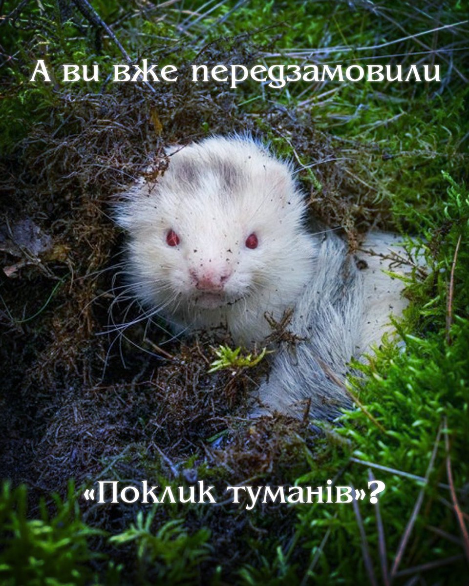 Lunavis (@lunavisua) on Twitter photo 