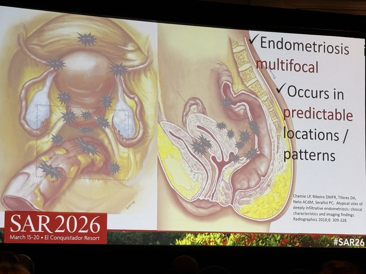 Daniel Souza tweet media