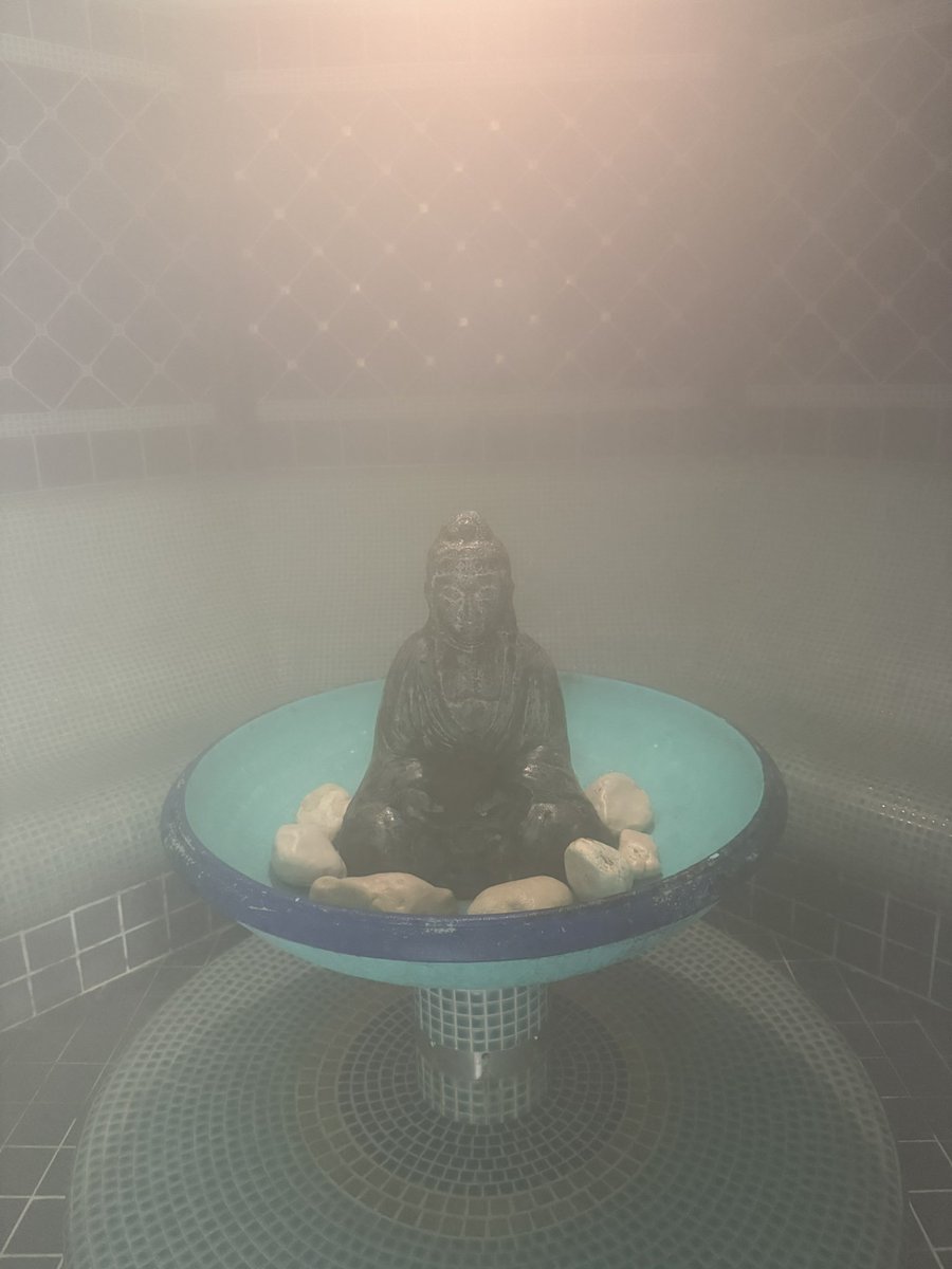 Nika🪽 tweet media