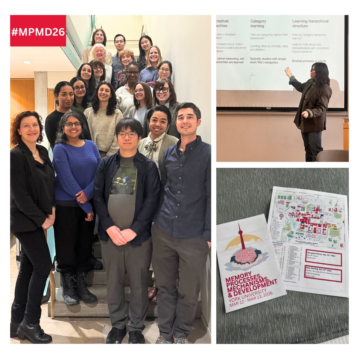 Alison Preston tweet media