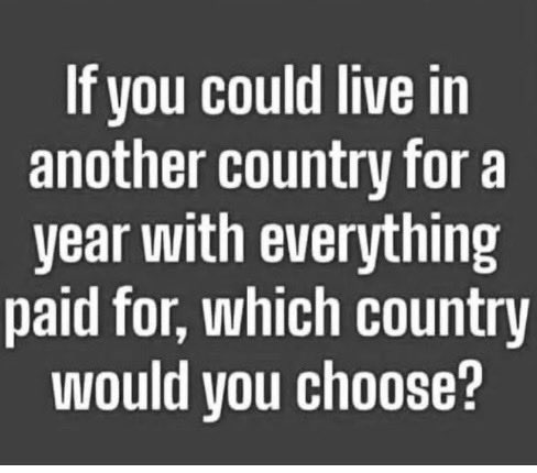 Suzie rizzio tweet media