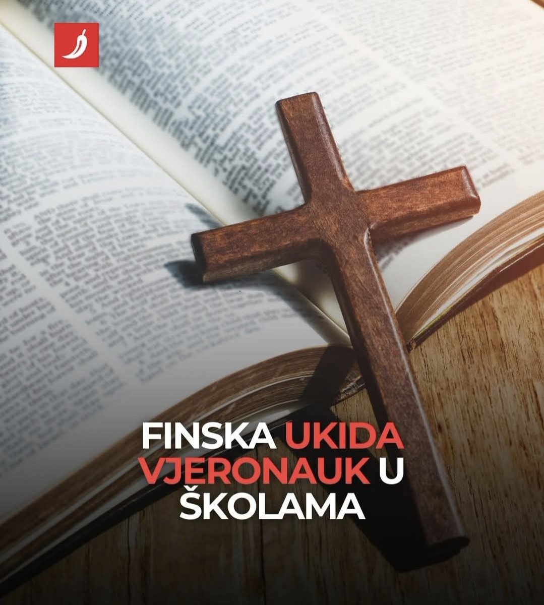 Vesna Rajnović 🌿 tweet media