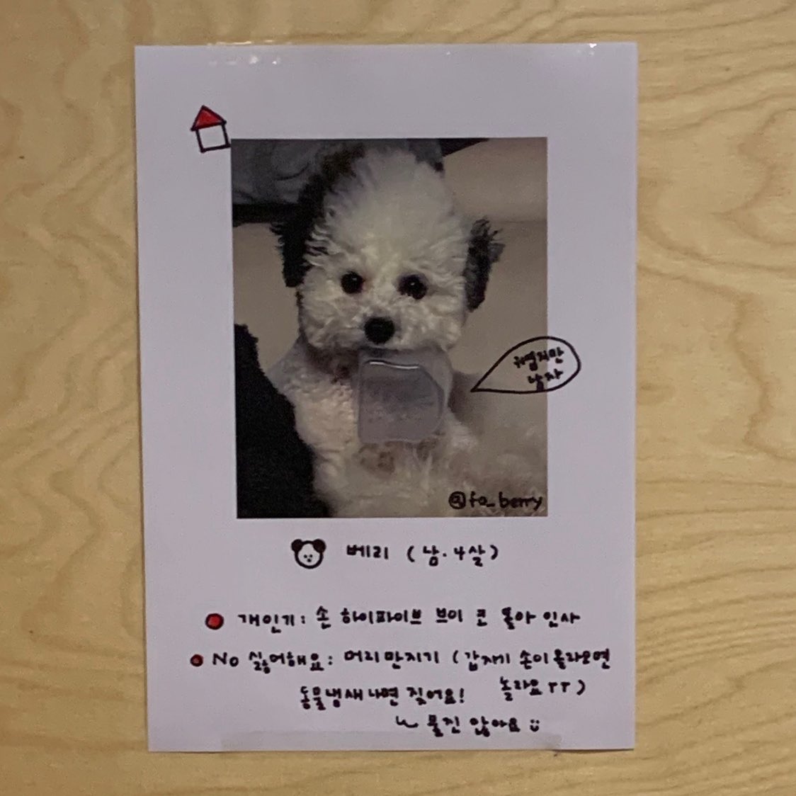Ih1ver's tweet photo. ㅜㅜ기요미
요 강아지 완전 새침떼기 가나디임 ..
사장님께 요청하셔서 꼭 . 간식받으시고 
베리에게 환심사시길 ❤️‍🩹 ❤️‍🩹 https://t.co/HOKJhp1eEF