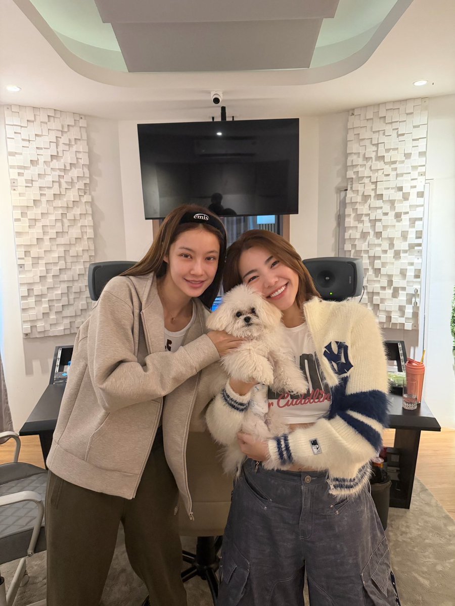 MP Focus tweet media