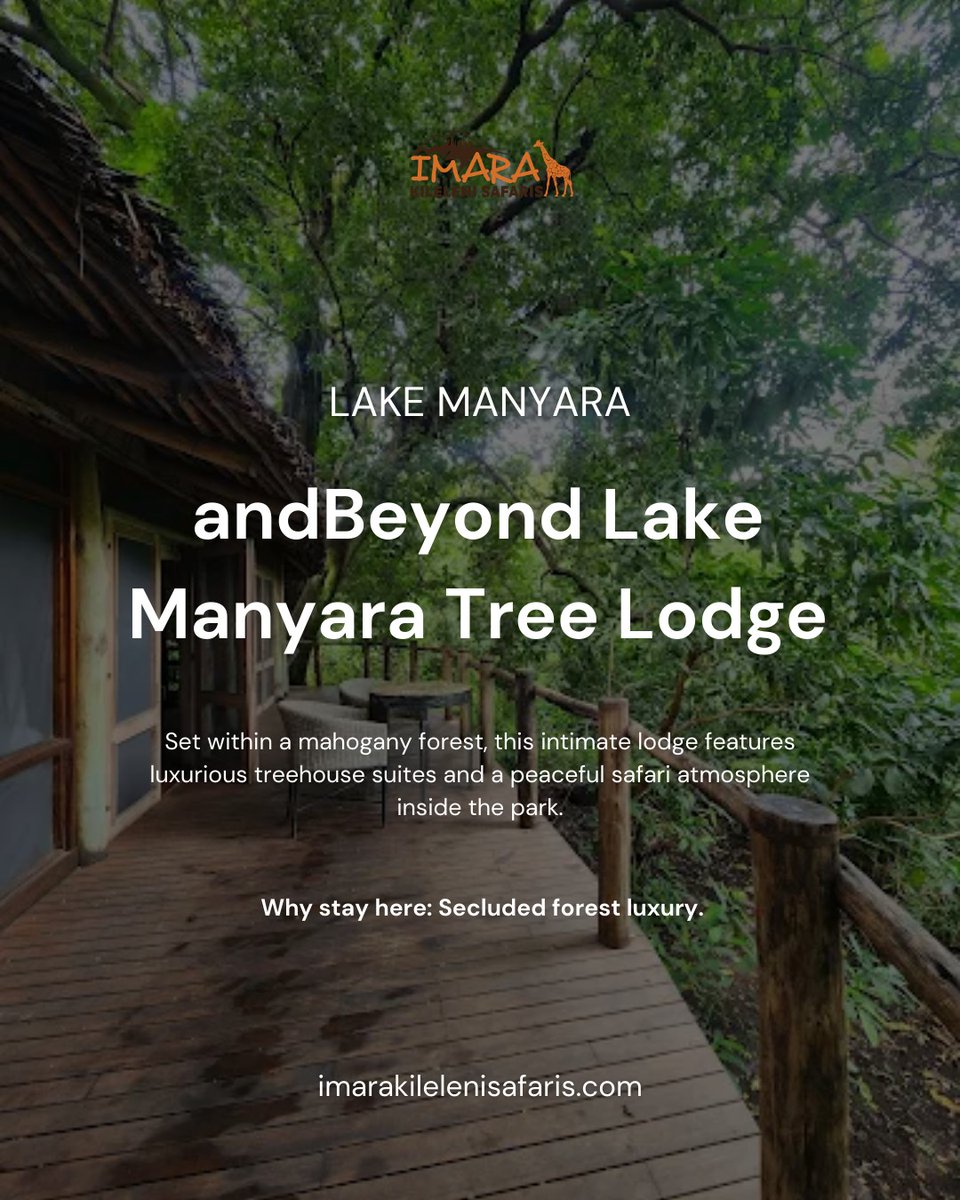 imarakileleni's tweet image. Planning your Tanzania safari?
Let Imara Kileleni help you choose the perfect lodge for a stay that’s as unforgettable as the experience you'll have.

Book now: info@imarakilelenisafaris.com

#lodgesintanzania #wheretostay #tanzania #safari #ExploreTanzania