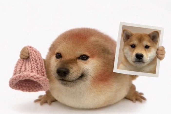 sshmak (shm/acc) tweet media