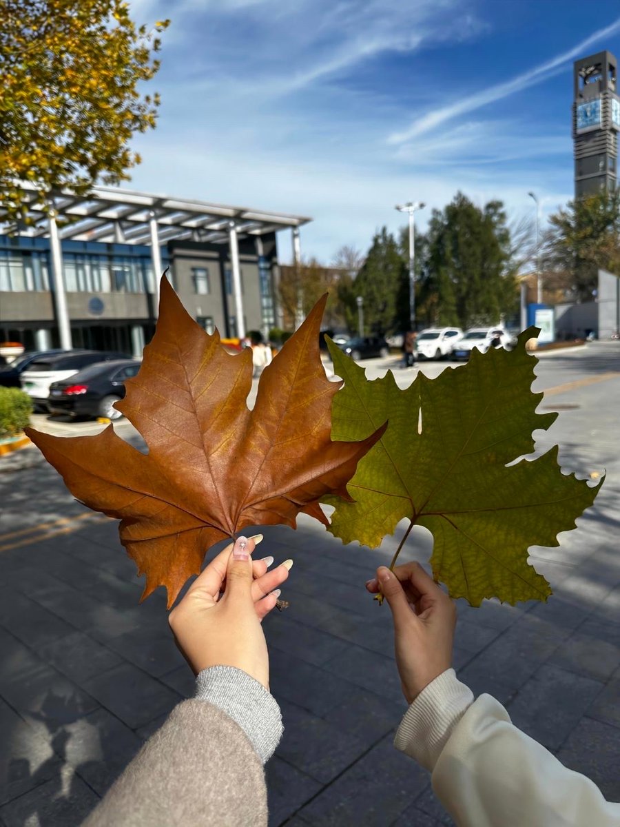 chericia tweet media