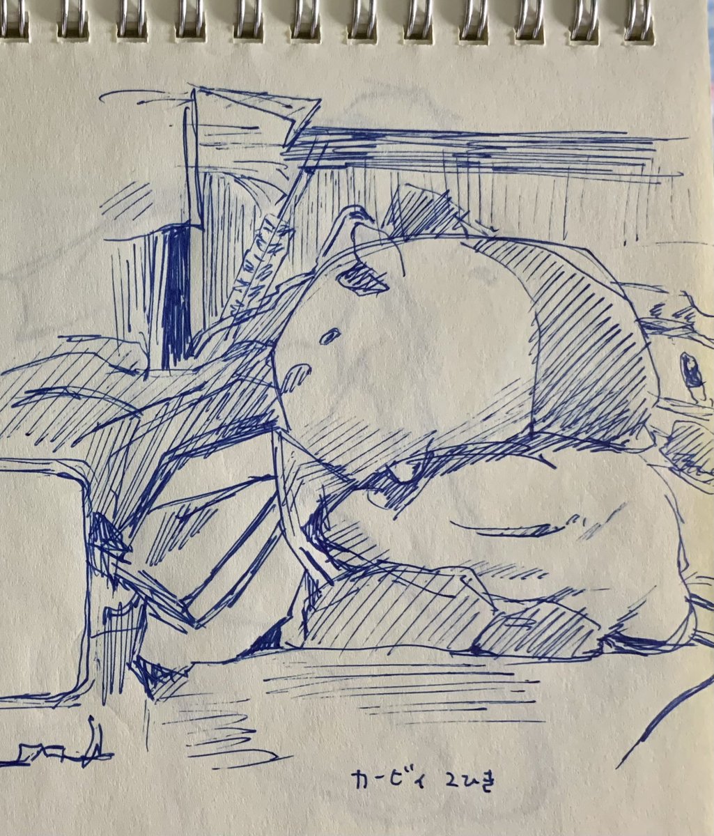 めろてぃぶ tweet media