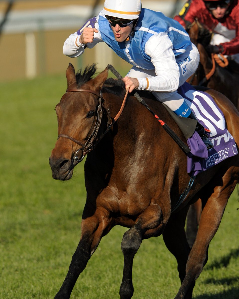 Breeders' Cup tweet media