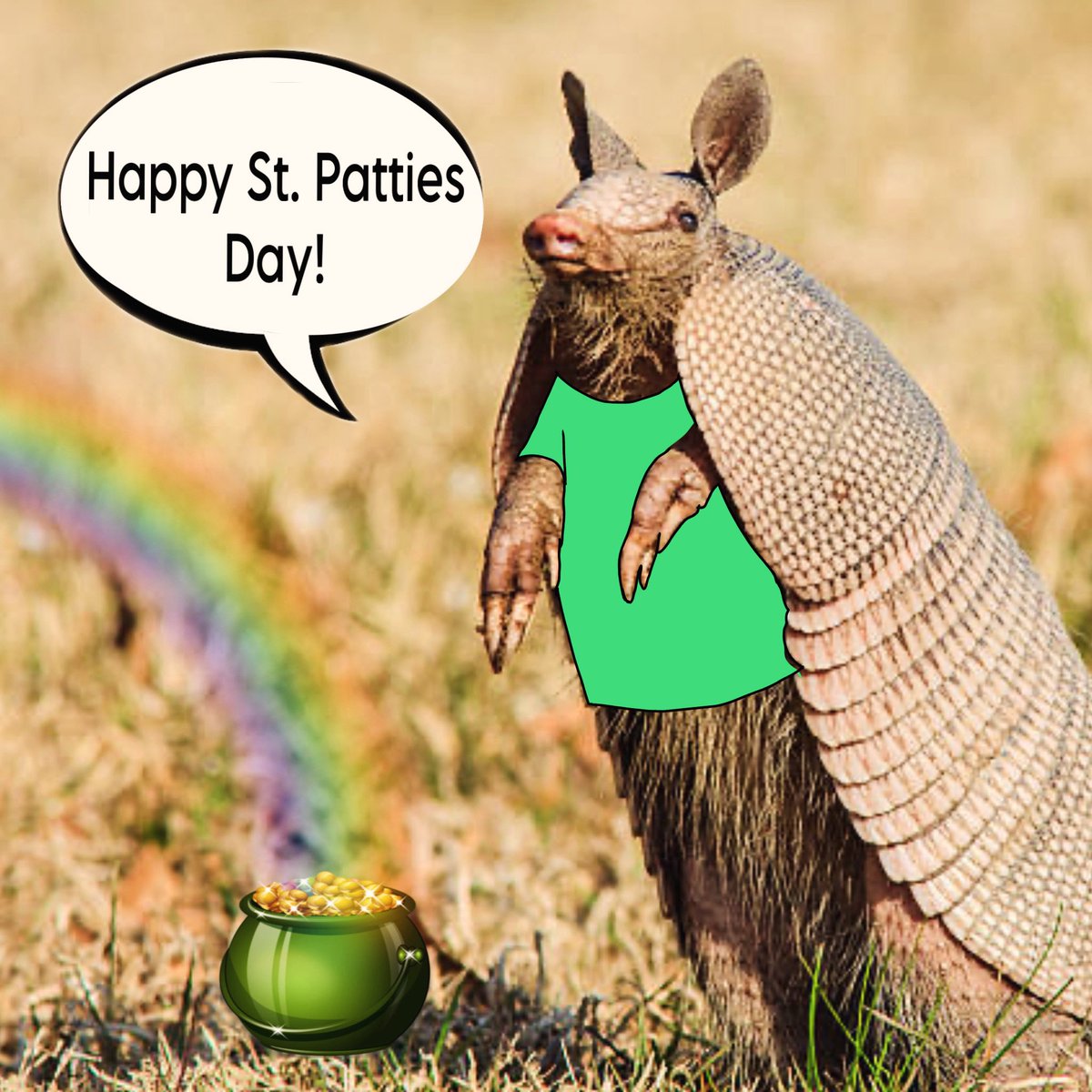 randolphsga's tweet photo. Happy St Patrick’s Day everyone! 🍀🍀

We hope everyone had a wonderful spring break. It is great to see you guys back on campus! Let’s finish this semester off strong, you got this! 🧡💙🧡

P.S. hope you wore your green👀🍀
#RCCSGA #RCCproud https://t.co/eNq1hjEu91