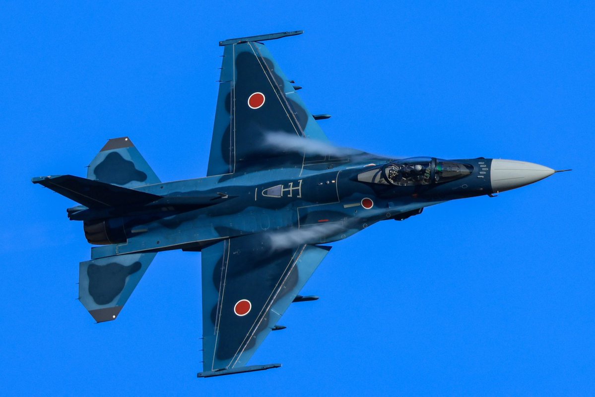 オポッサム tweet media