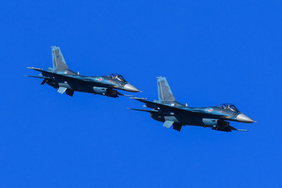 オポッサム tweet media