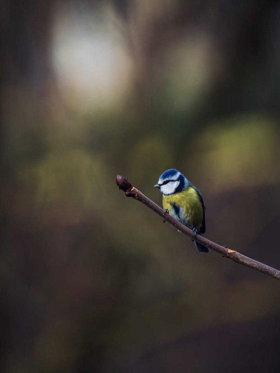 La Tête sous l'eau tweet media