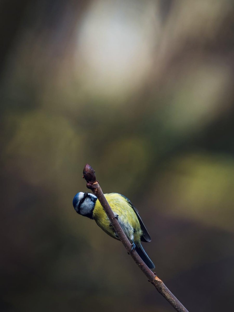 La Tête sous l'eau tweet media