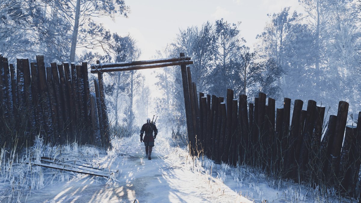 Disco 🌿🔦 tweet media