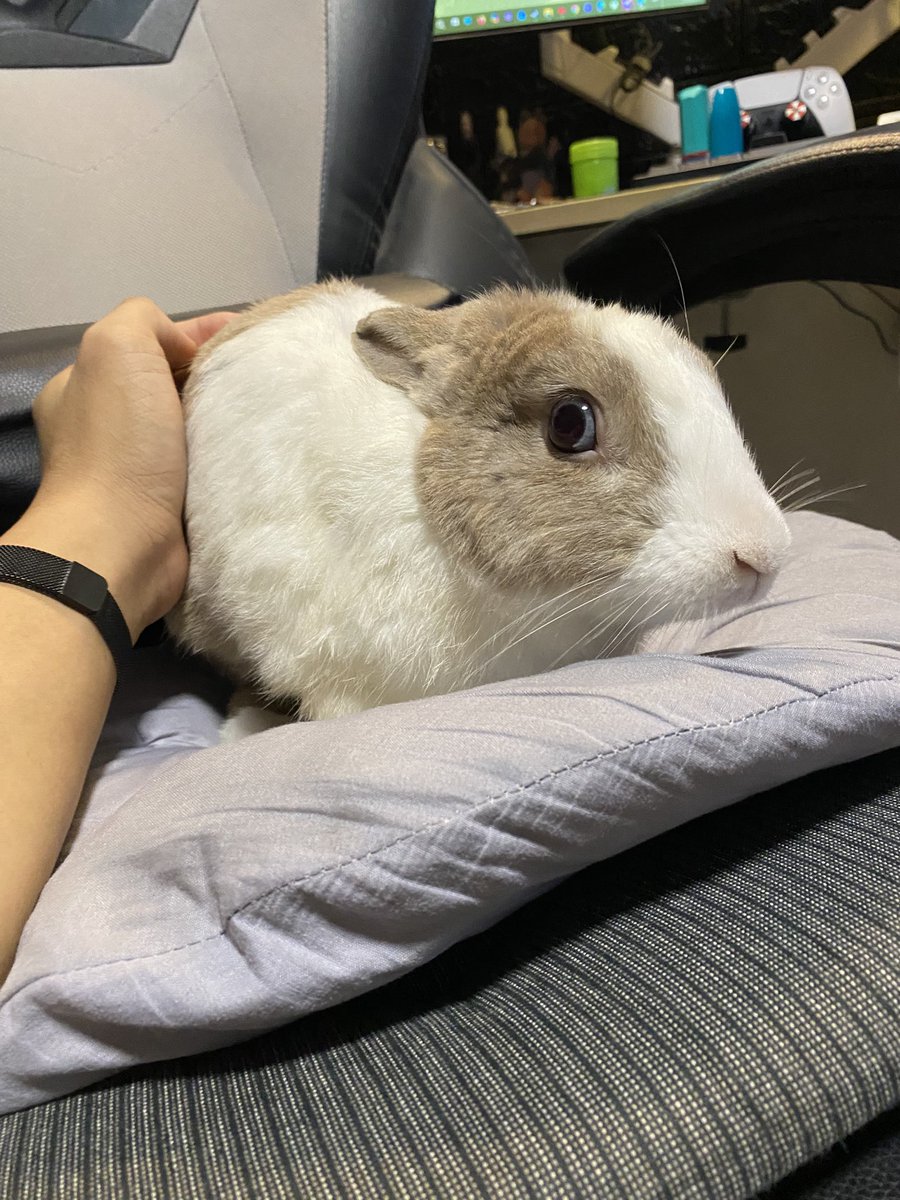 Zoe Specter | KLAVIER 🤍 ✂️ tweet media