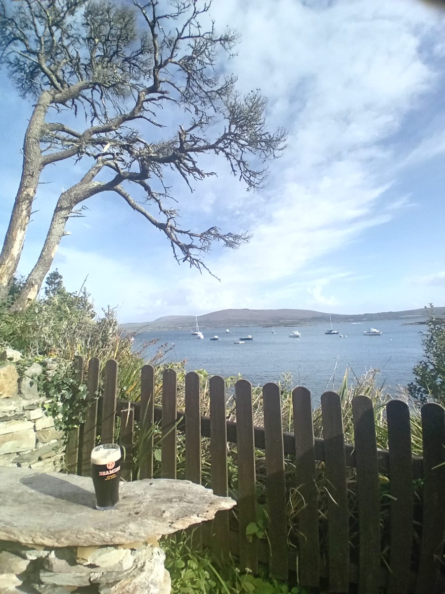 Anne Poole tweet media