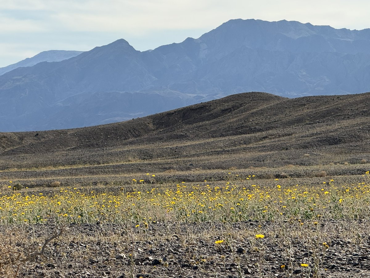 Kevin Janison tweet media