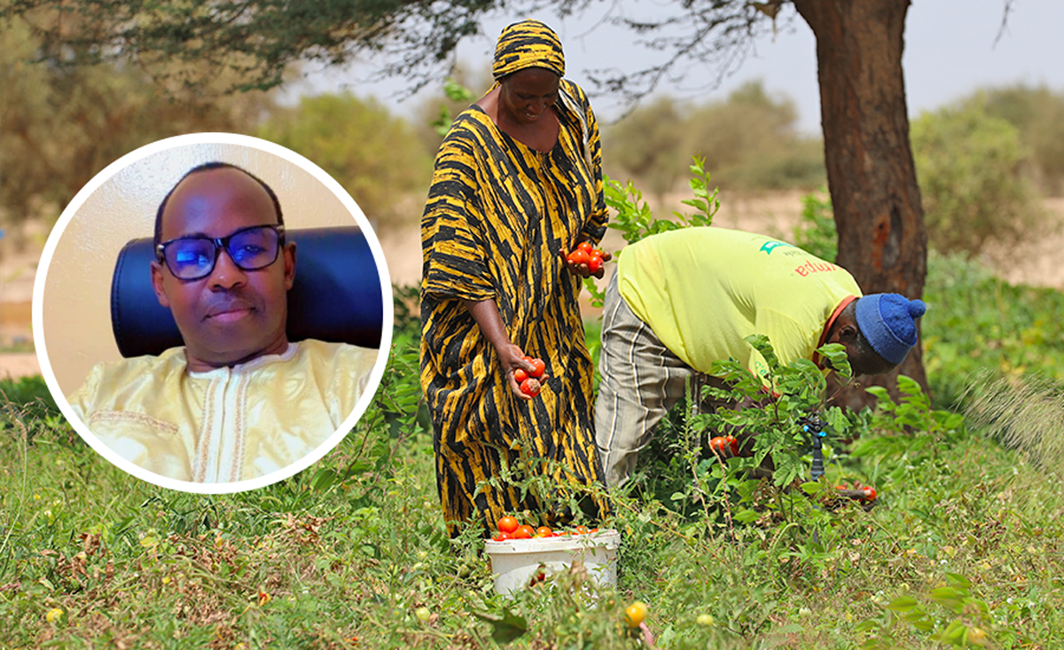 PROCASEF SENEGAL tweet media