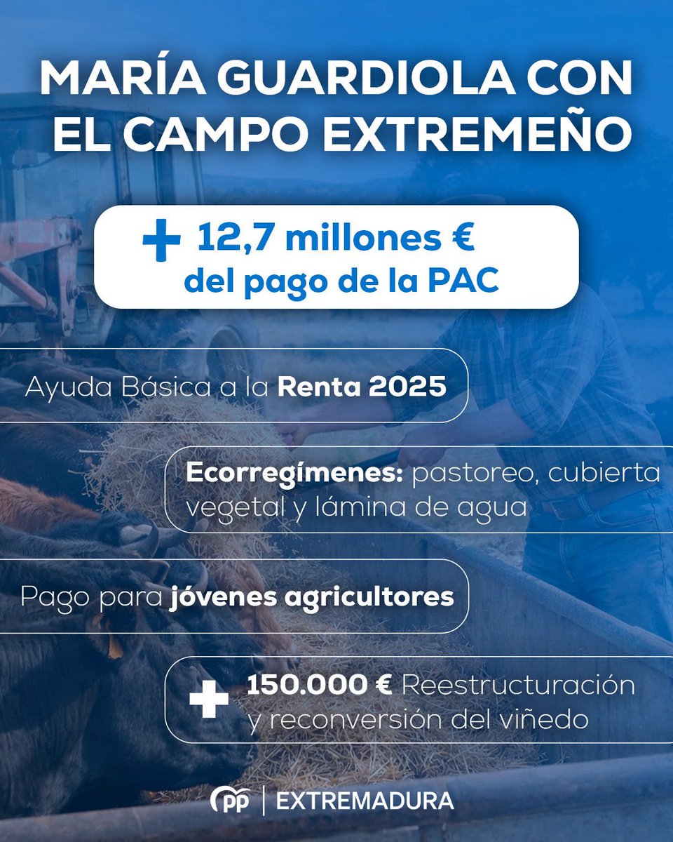 Partido Popular de Extremadura tweet media