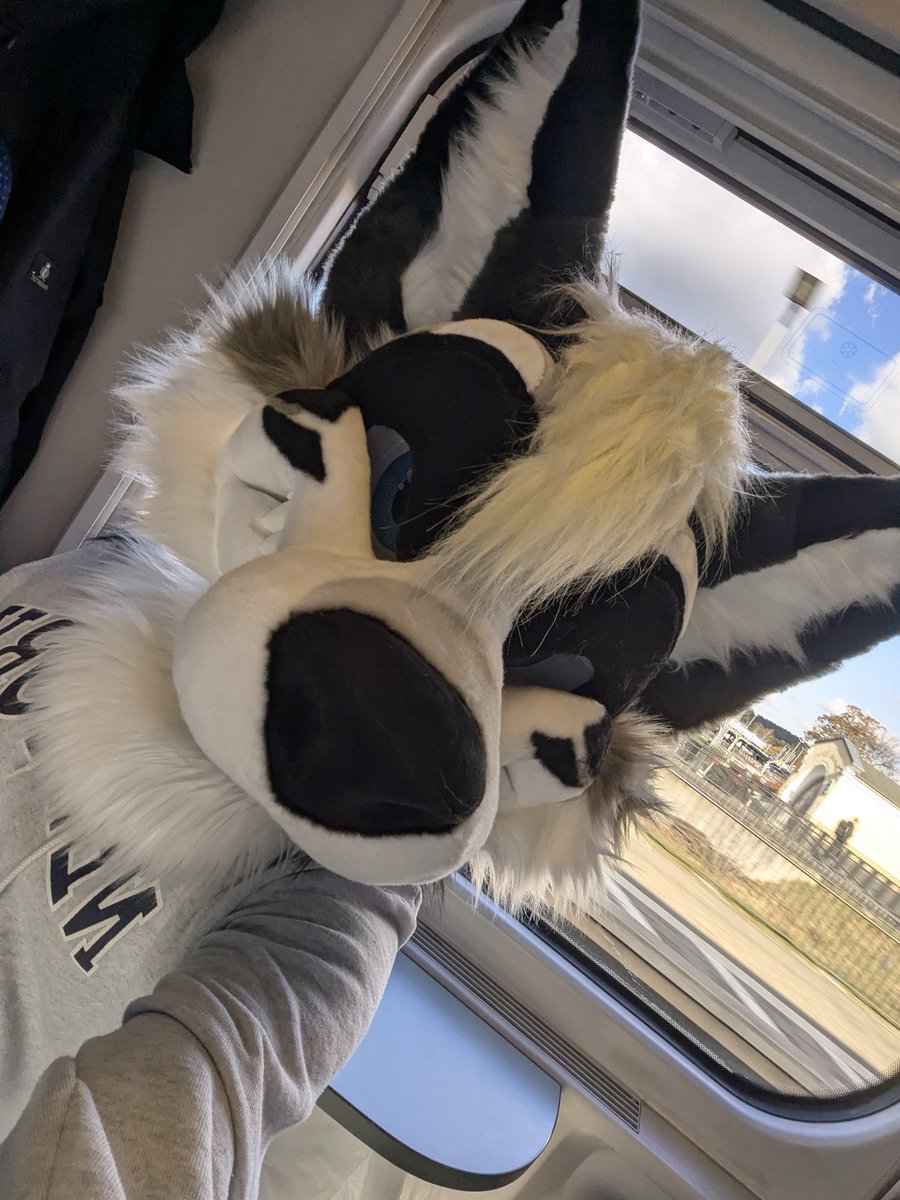 Candahan 🔜 Gdakon tweet media