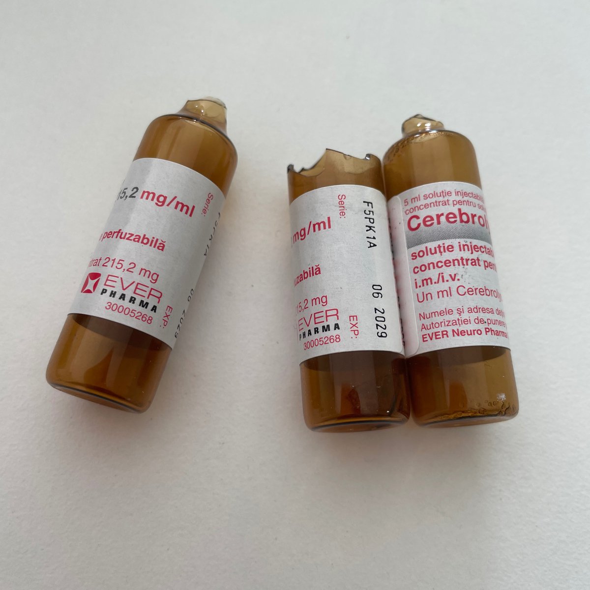 _aestheticprimal_ tweet media