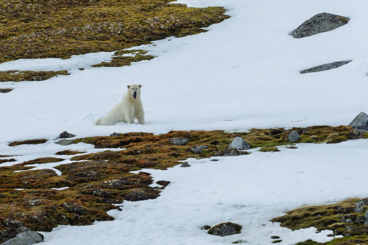 Jure Kravanja Yurko tweet media