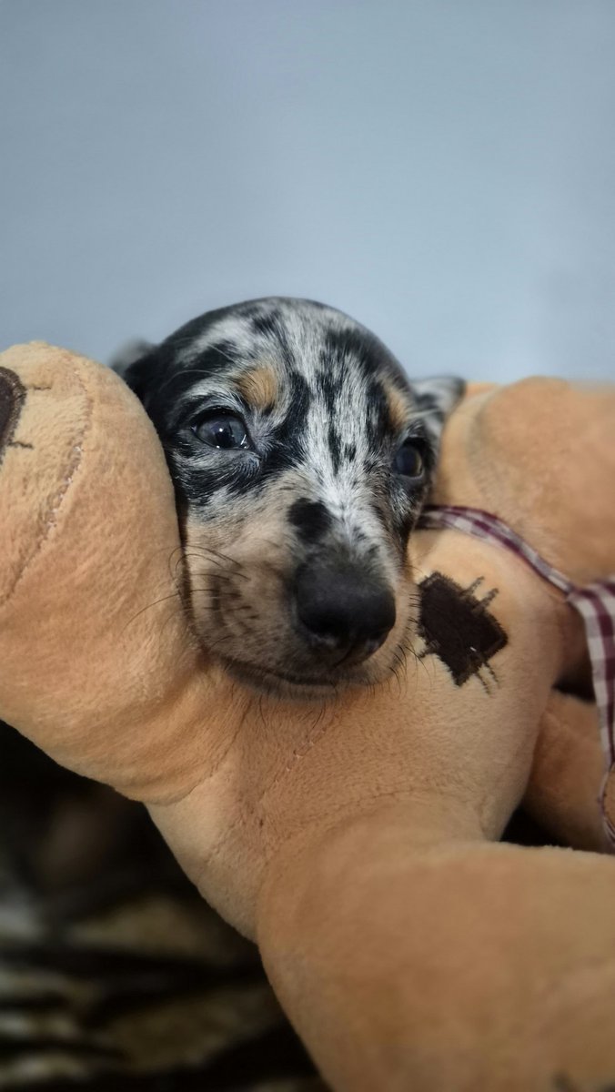 Bruna✨️ | 📖: ? tweet media