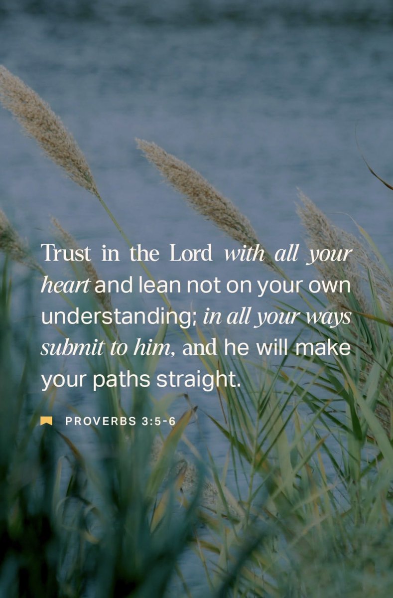 Sam Carter tweet media