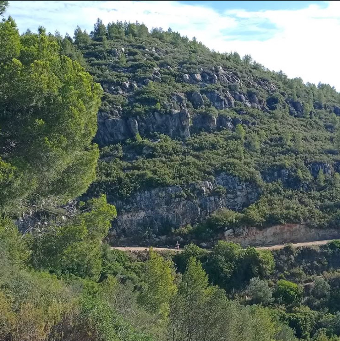 Sandra Corcuera tweet media