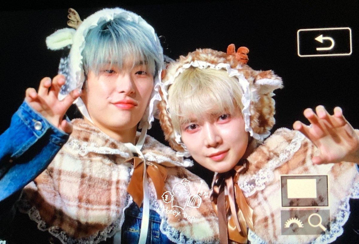 Honey Trap tweet media