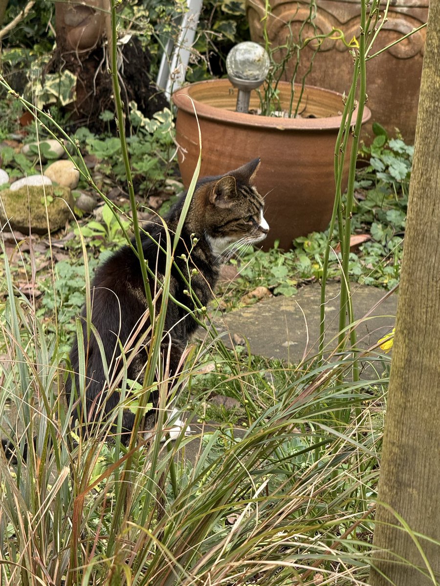 Geoff Crease tweet media