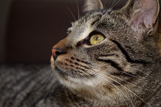 Eric Nelson tweet media