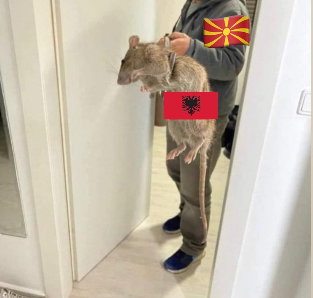 Road_to_Timbuktu 🇲🇰 tweet media