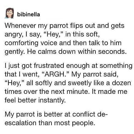 WholesomeMemes tweet media