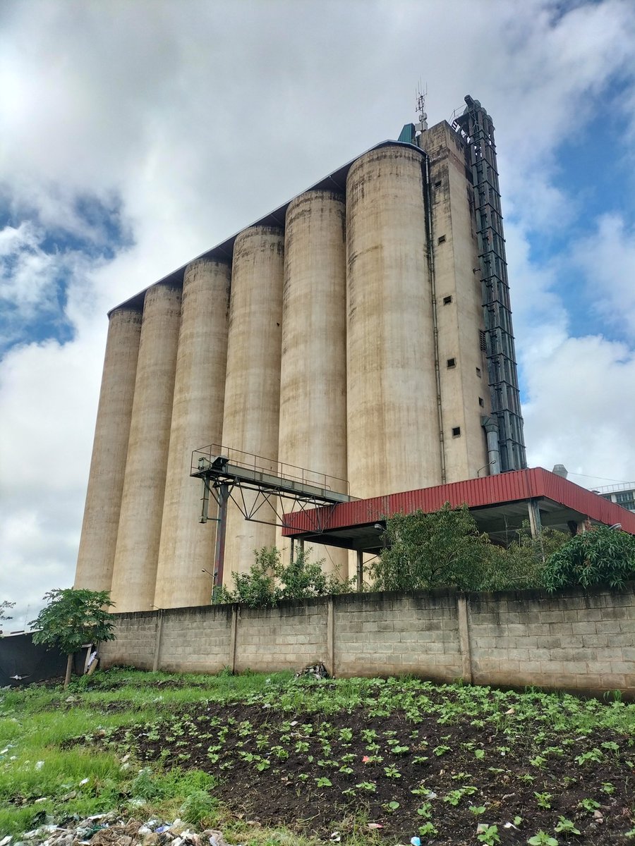 Ímmanuel tweet media