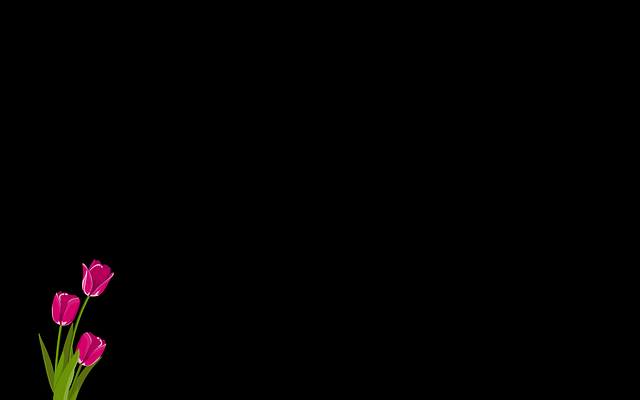 Katie Yazzie tweet media