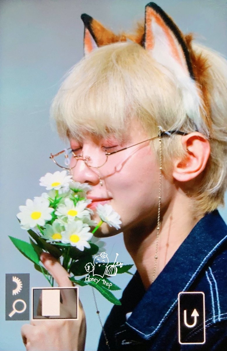 Honey Trap tweet media