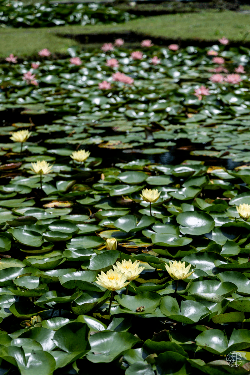 sean mckenzie tweet media