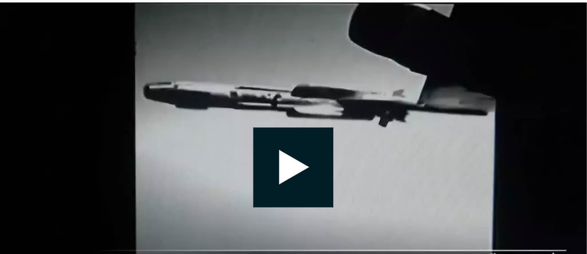 Hasnae Malih حسناء مليح tweet media