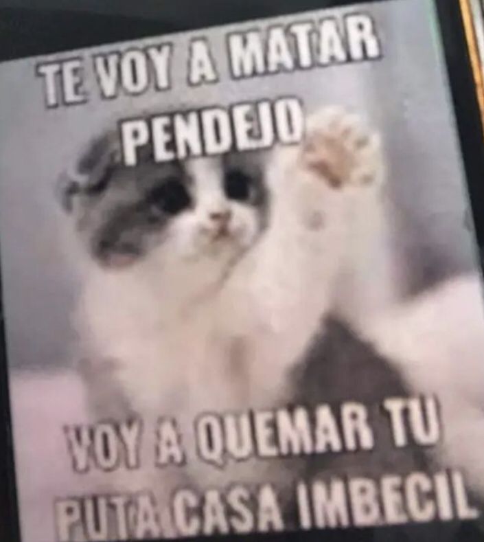 Pendejo se pone a llorar porque no puede comprar comida xq se pone a llorar feo