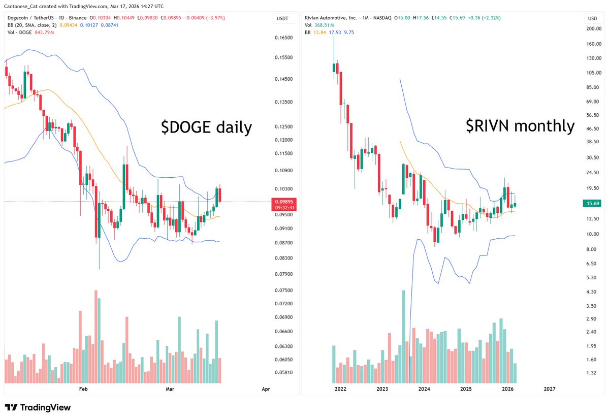 Cantonese Cat 🐱🐈 tweet media